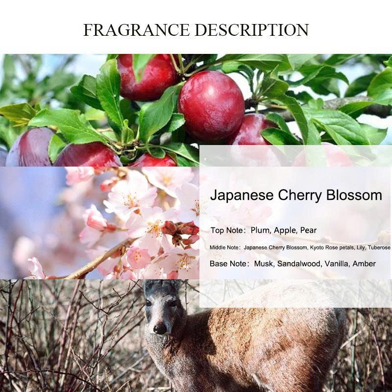 Hương liệu nước hoa Dailyfragrance001-phong cách df/CHERY BLOSSOM/style/20g/Hỗn Hợp Chất Thơm Dùng T