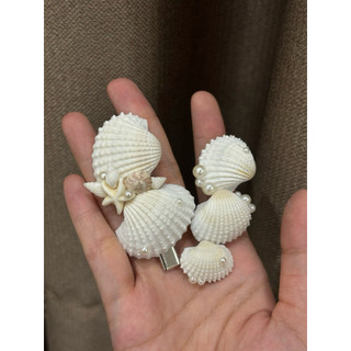 (CÓ SẴN -ẢNH THẬT) KẸP TÓC VỎ SÒ 🐚🪸
