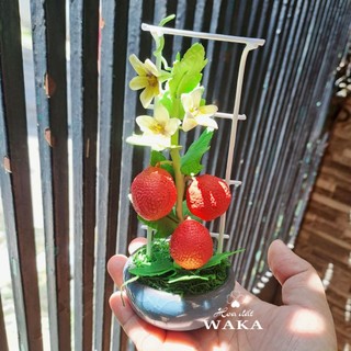 Hoa Đất Sét Mini- Giàn Gấc 15cm