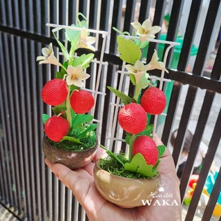 Hoa Đất Sét Mini- Giàn Gấc 15cm