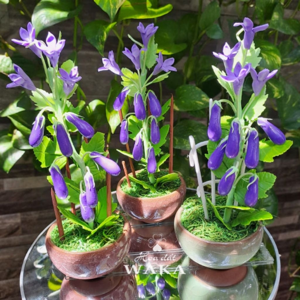 Hoa Đất Sét Mini- Cà Tím 15cm