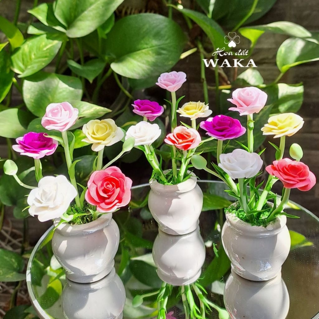 Hoa Đất Sét Mini- Mười Giờ 10cm