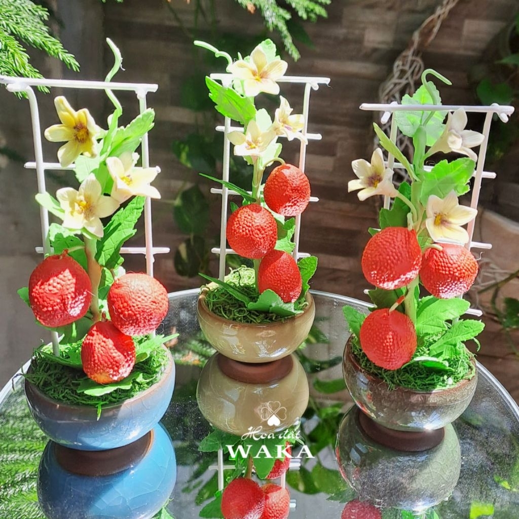 Hoa Đất Sét Mini- Giàn Gấc 15cm