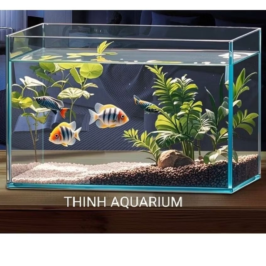 Bể cá Siêu Trong 50x25x25 một mặt (kính 5ly) có mài vi tính cạnh