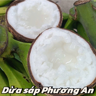 [HỎA TỐC HCM]Dừa sáp đặc trung (900-1kg gọt bớt vỏ) cơm sáp ngon ăn được 3 hoặc 4 người