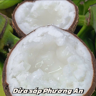[HỎA TỐC HCM]Dừa sáp đặc trung (900-1kg gọt bớt vỏ) cơm sáp ngon ăn được 3 hoặc 4 người