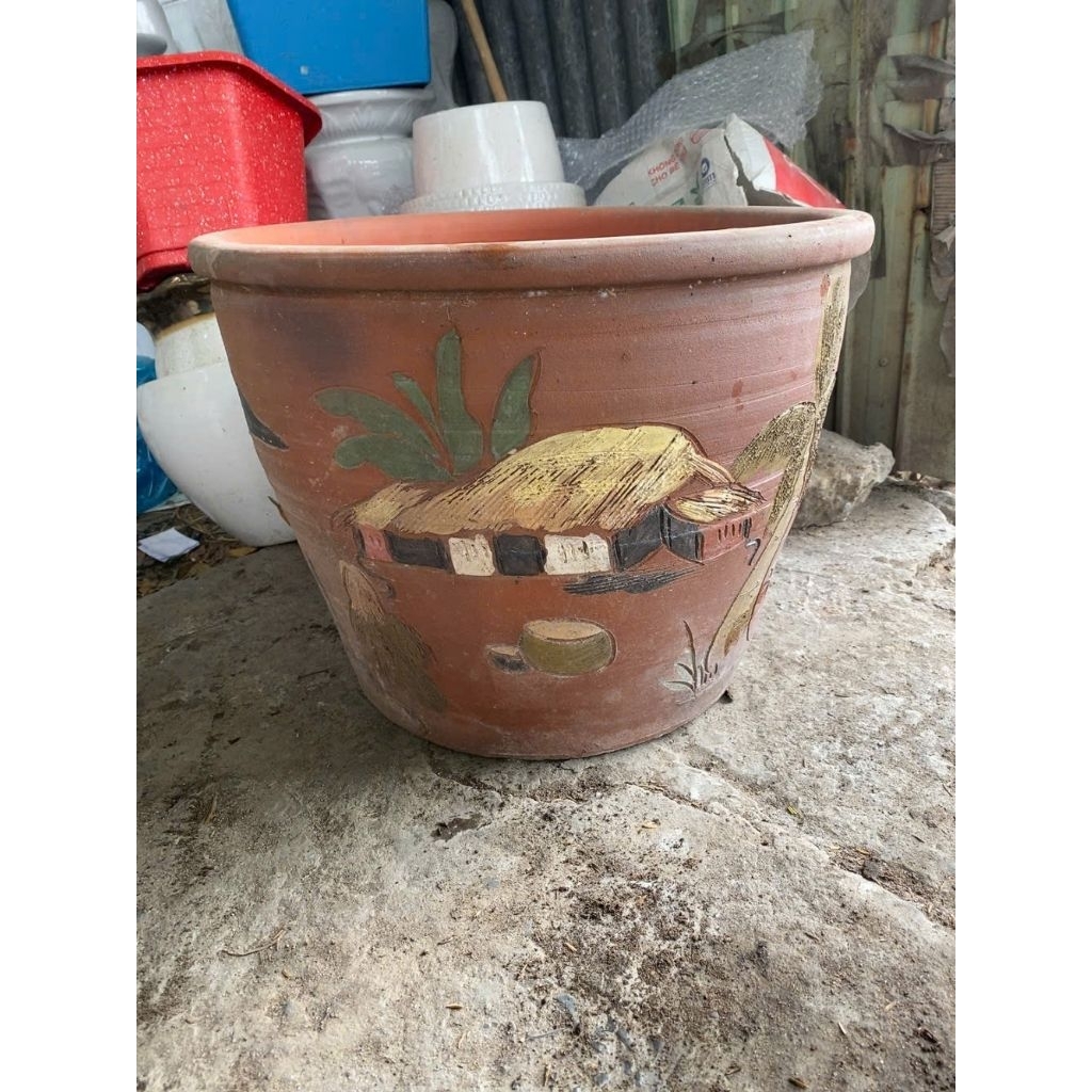 Chum Chậu C37 r47cm