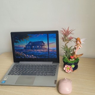 Cây Không Khí Kim Yến Tiểu Cảnh Cô Tiên Dễ Thương Để Bàn