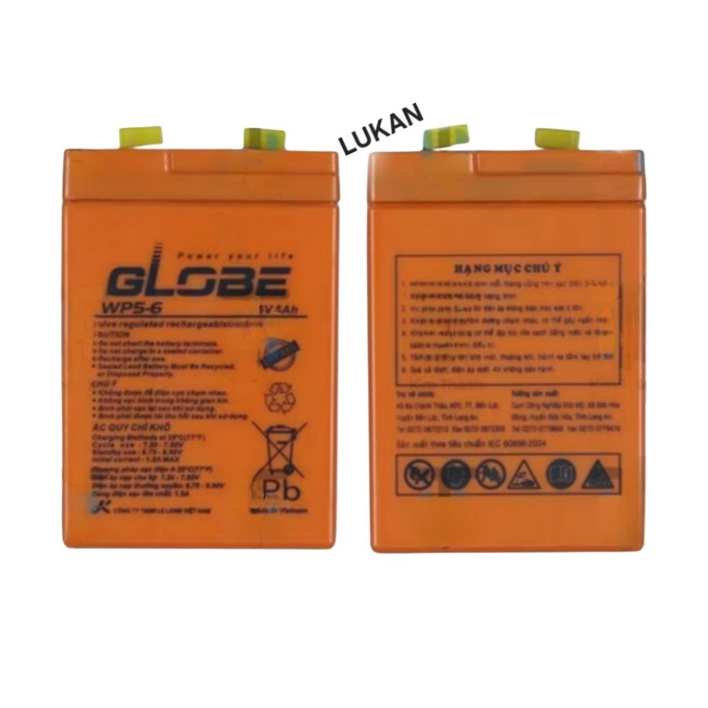 Bình điện ắc quy khô 6V Cam Nhỏ Globe WP5-6