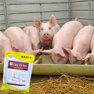 Tăng tốc heo