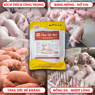 Tăng tốc heo