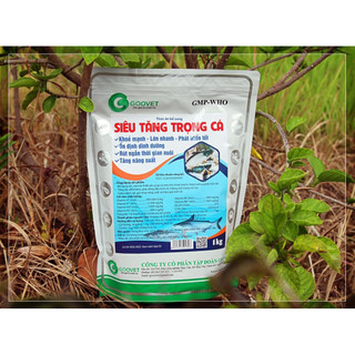 SIÊU TĂNG TRỌNG  CÁ