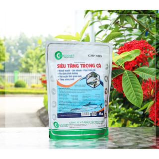 SIÊU TĂNG TRỌNG  CÁ