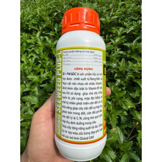 Phân Bón PHÌ GỐC MAI-VUA MẬP THÂN ( To lá,dày lá,nở gốc) chai 500ml