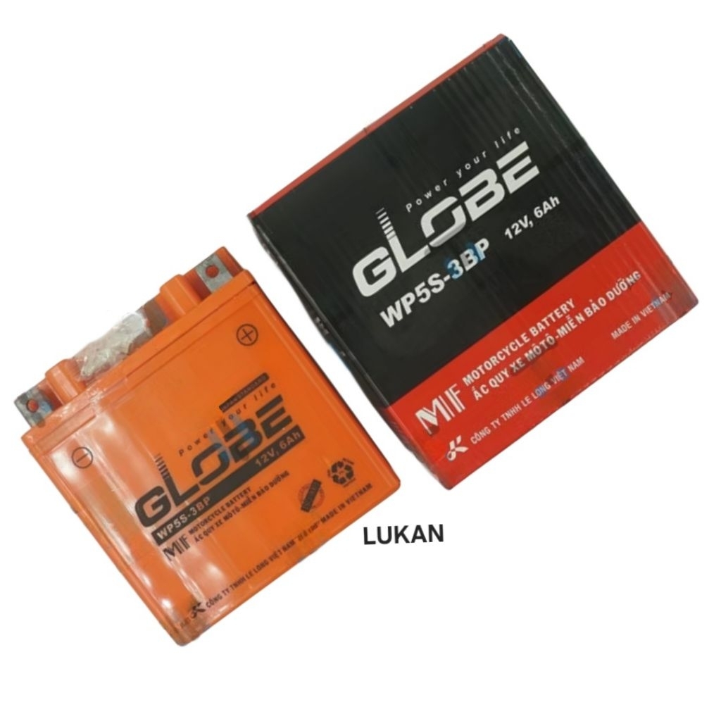 Bình điện ắc quy Dream khô Globe WP5S- 3BP zin