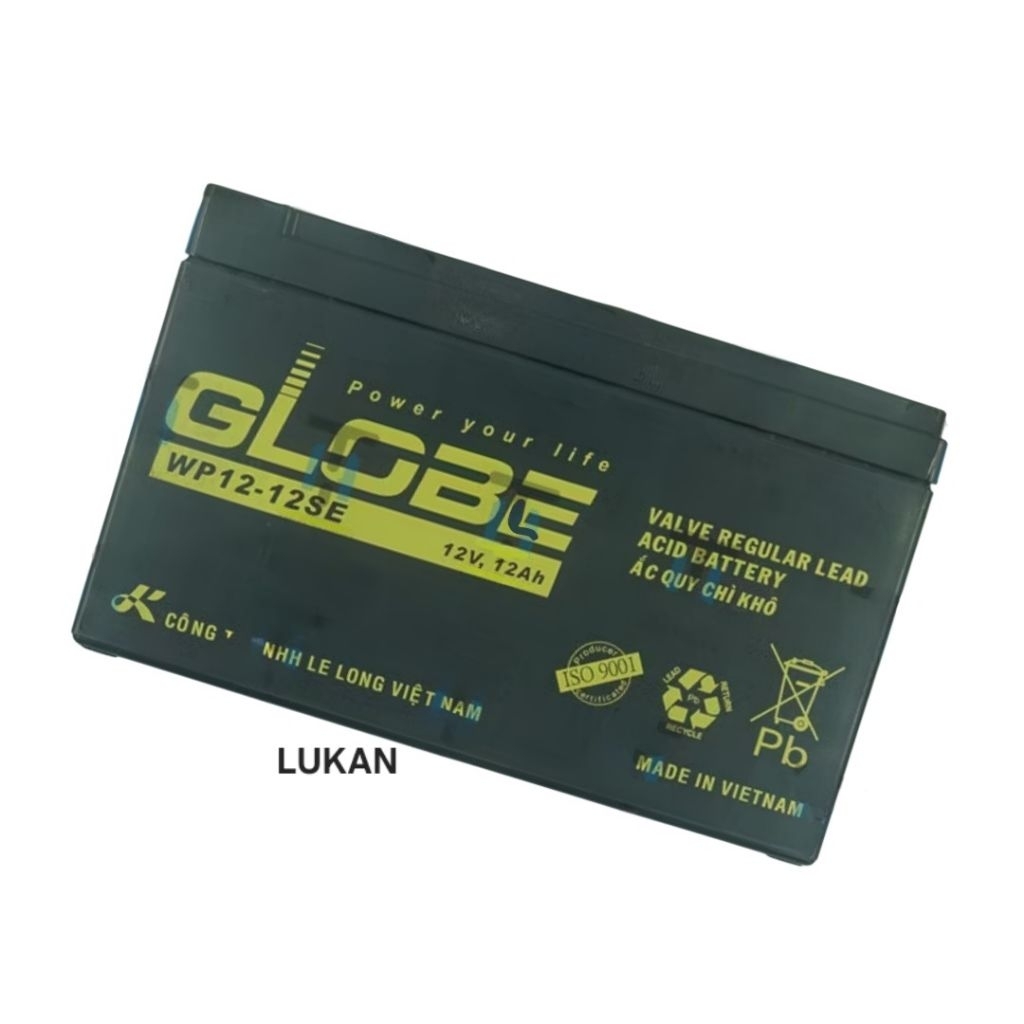 Bình ắc quy khô xe điện gài Globe W12- 12SE zin