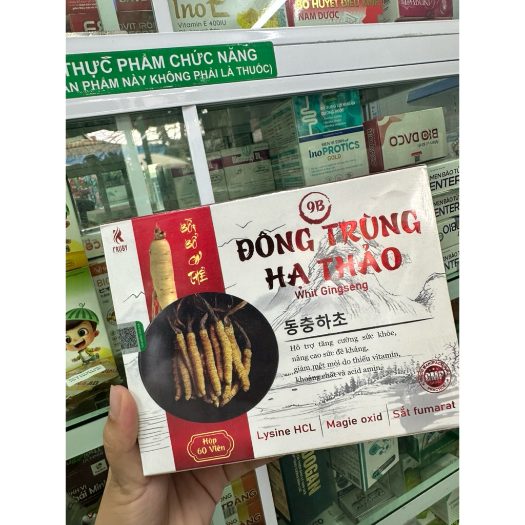 9B đông trùng hạ thảo