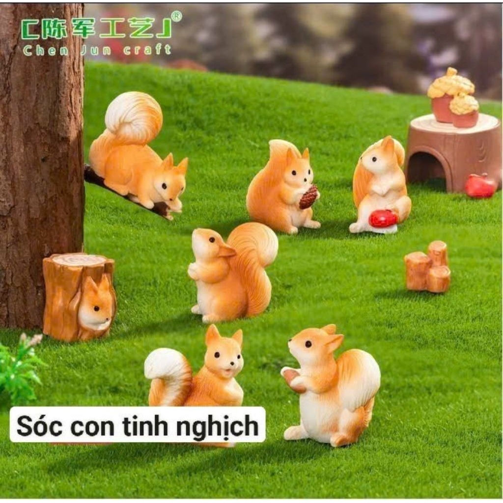 Sóc con tinh nghịch dáng ngẫu nhiên