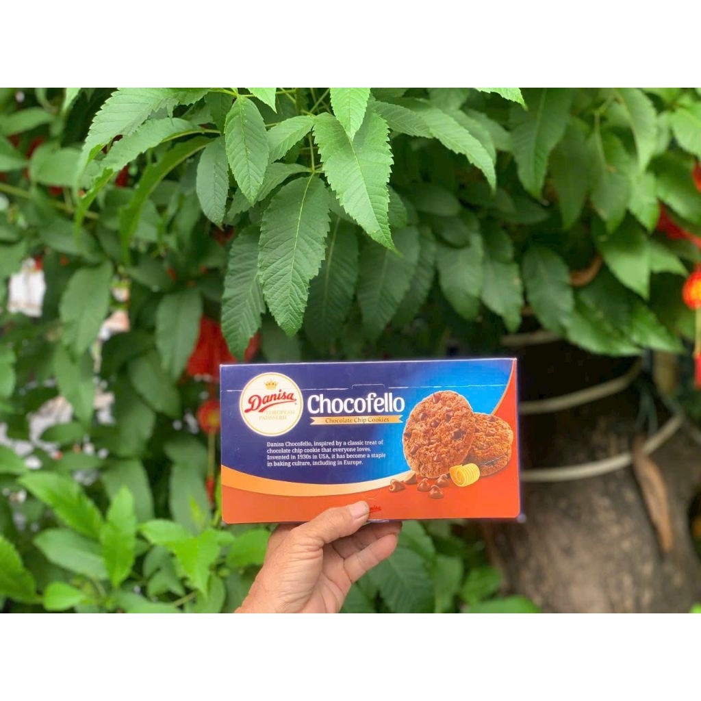 hộp bánh danisa chocofello 168g