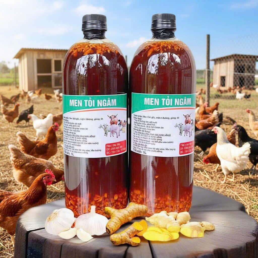 Men Vi Sinh Thảo Dược (2Lít)