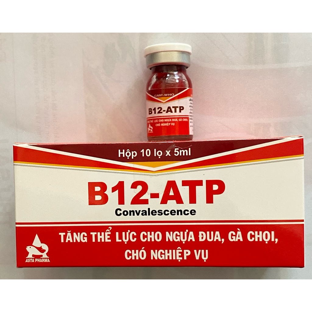B12 ATP cho gà đá, gà chọi lọ 5ml