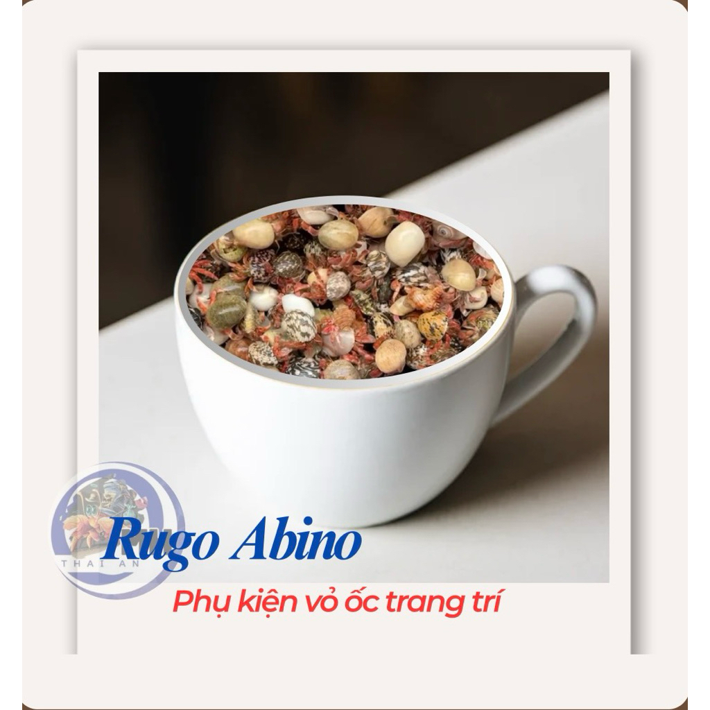 Vỏ Ốc Mượn Hồn Rugo Abino Size Baby Xs