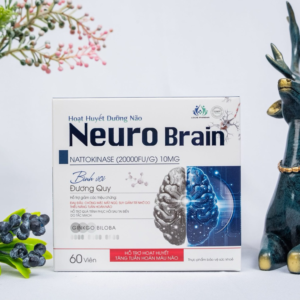 HOẠT HUYẾT DƯỠNG NÃO NEURO BRAIN - HỘP 60 VIÊN