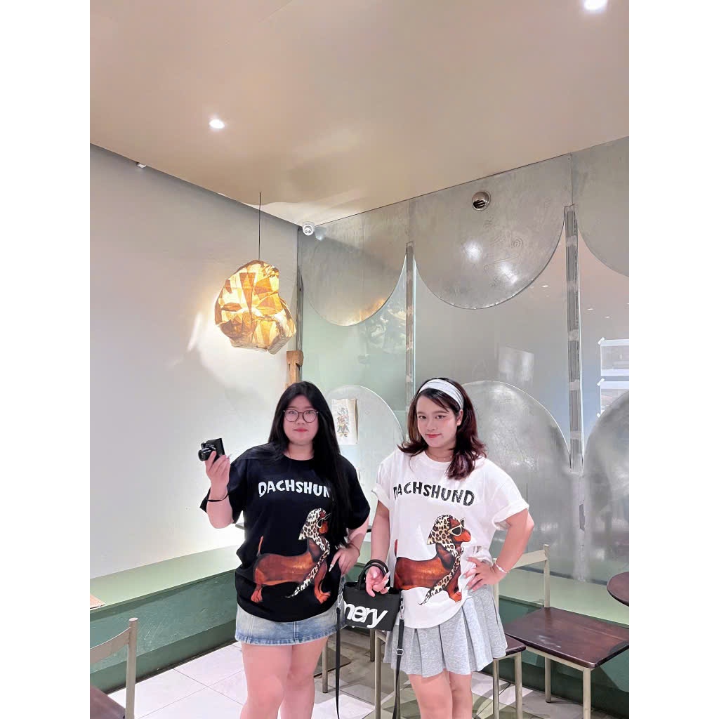 Áo Thun Bigsize nữ 50-100kg in hình cún slay