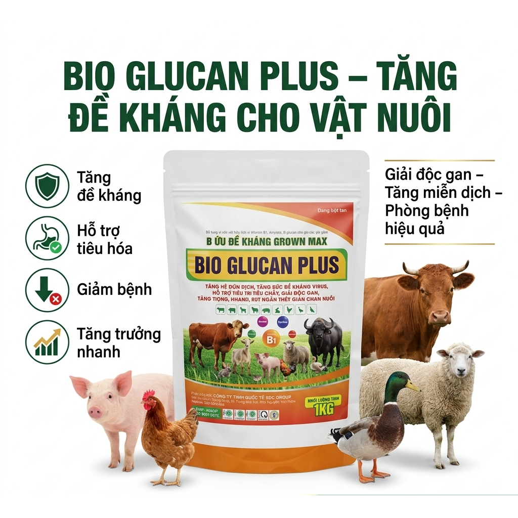 Bio Glucan Tăng Trọng Nhanh, Tăng Đề Kháng Cho Gia Súc,Tăng Đề Kháng Cho Heo Gà Bò Dê