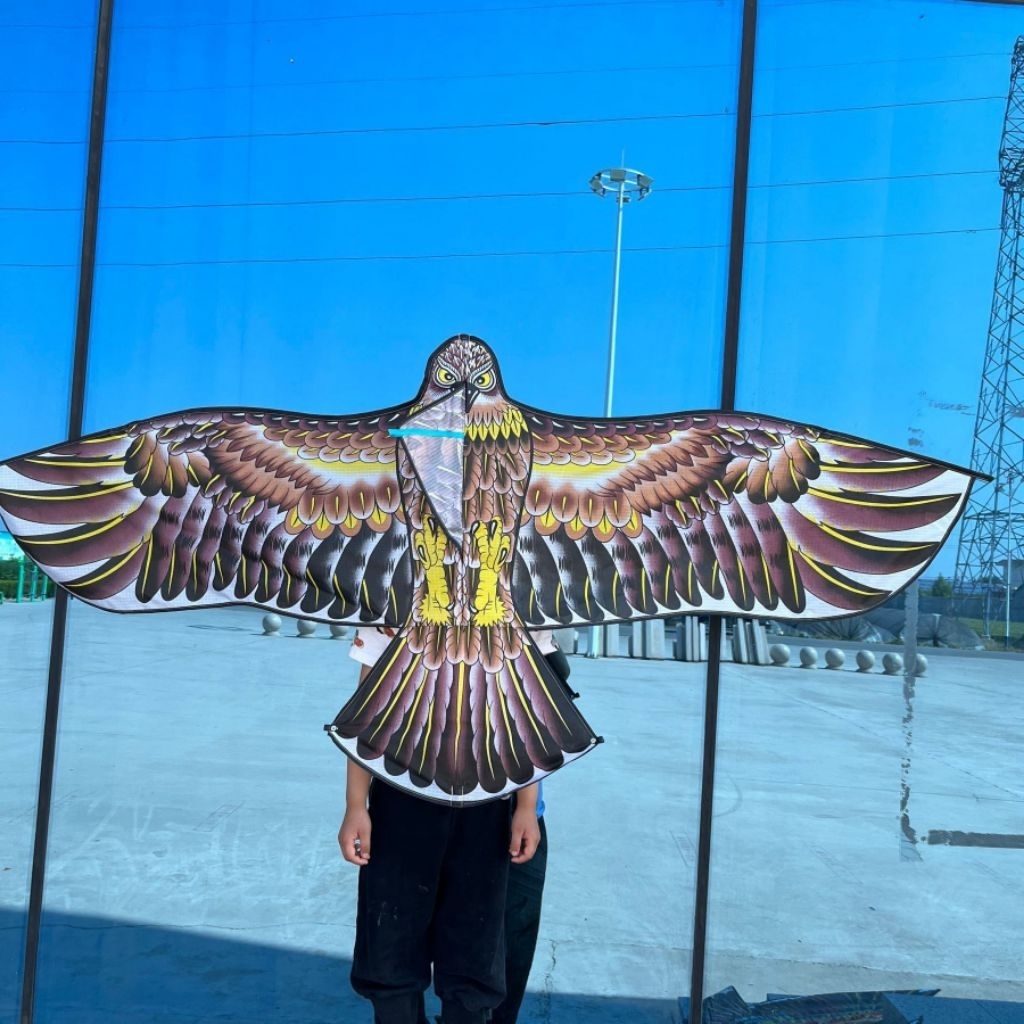 [DIỀU 1M1] DIỀU ĐẠI BÀNG, DIỀU HÂU 1M1 TẶNG KÈM TAY VÀ 30M DÂY THỦY TINH.