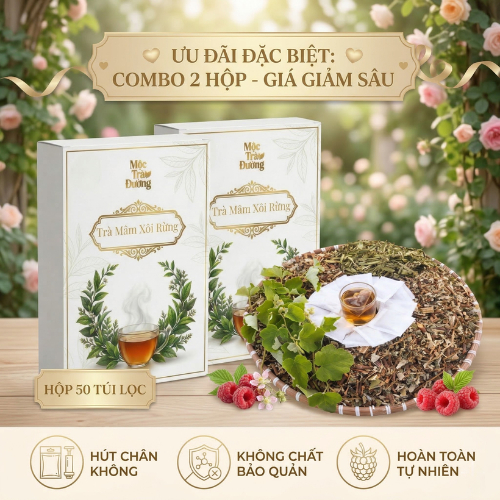 Hộp 50 Túi - Trà Mâm Xôi Rừng Tự Nhiên - Hút Chân Không - IVF, IUI - Sức Khoẻ - Mộc Trà Đường