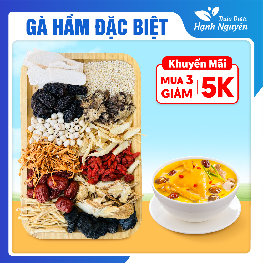 Gia vị hầm gà đặc biệt 11 vị, set gia vị tiềm gà, lẩu gà, canh dưỡng sinh thơm ngon