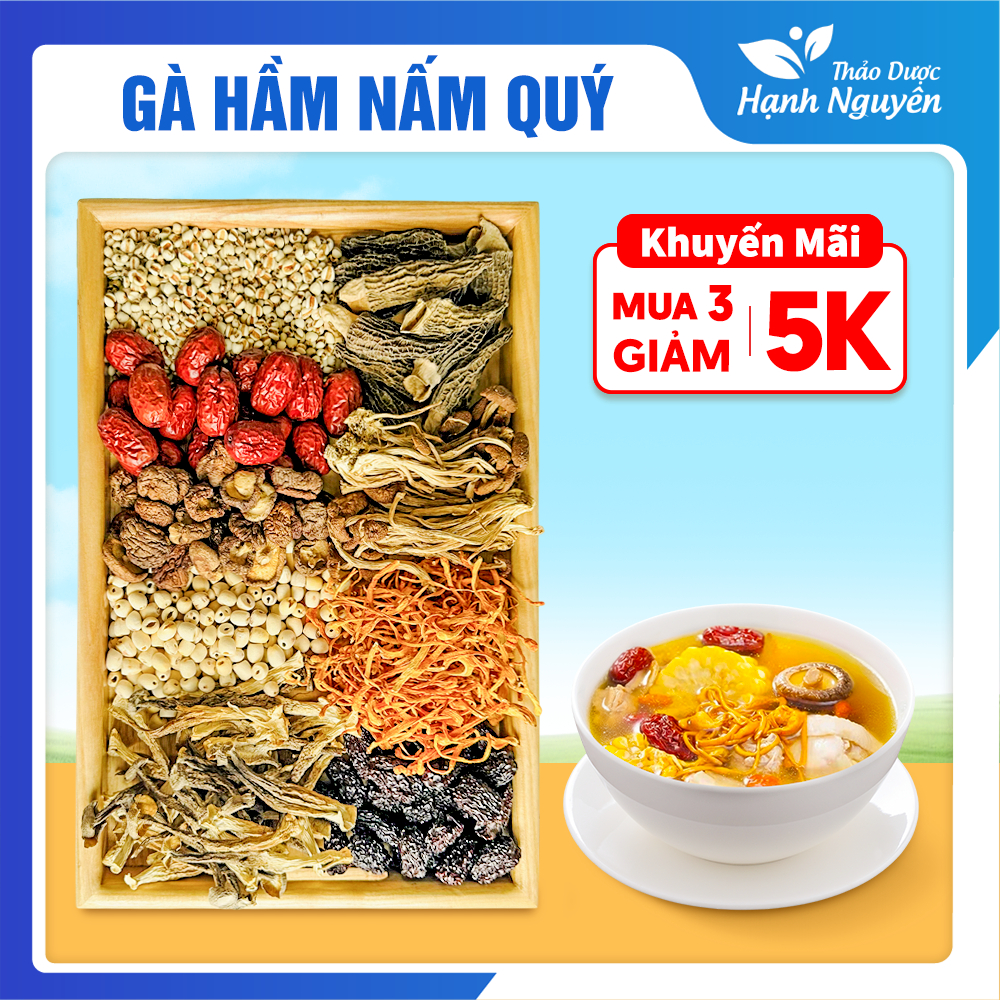 Gà hầm nấm quý, siêu nhiều nấm, set nấm tần gà, hầm gà, chim, lẩu nấm thơm ngon