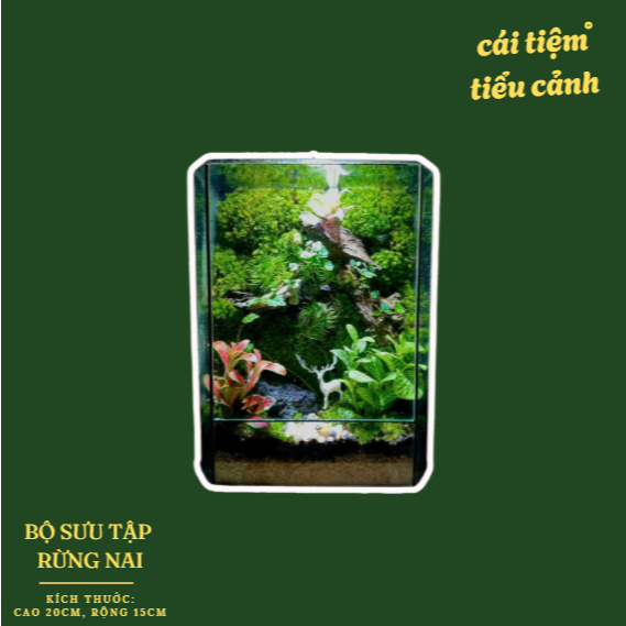 Bể Terrarium Bộ Sưu Tập Rừng Nai (kèm đèn gỗ và túi quà)