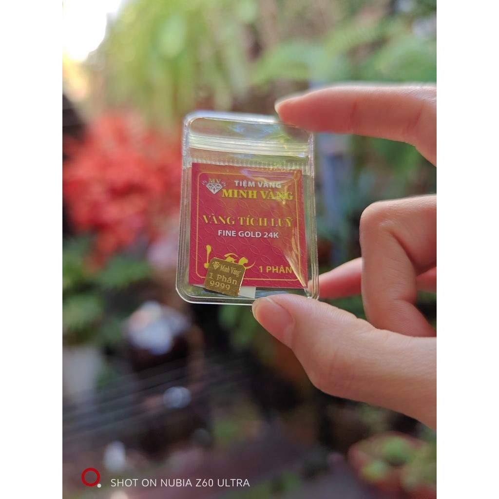 pass vàng tiệm vàng minh vàng 1 phân vàng 9999