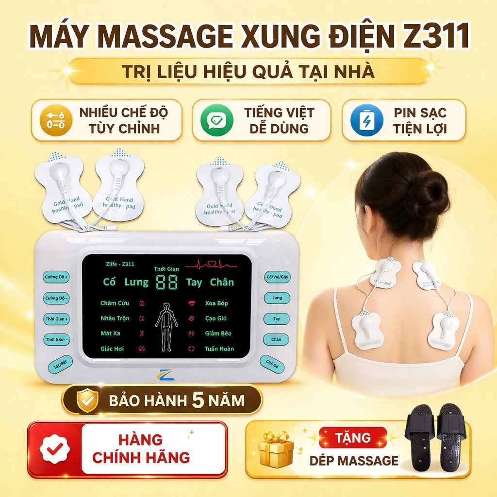 Máy Massage Xung Điện Trị Liệu Vật Lý Z311, Máy Mát Xa Châm Cứu Pin Sạc Giảm Nhức Mỏi Toàn Thân