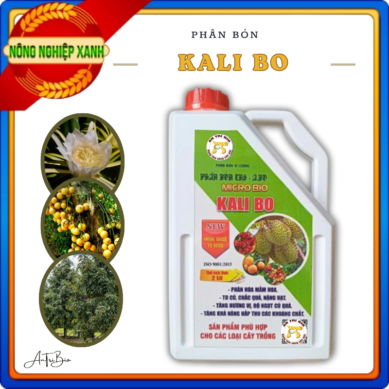 2 lít KALI BO hữu cơ to trái, Ngọt tự nhiên, Chắc nhân, Nặng ký