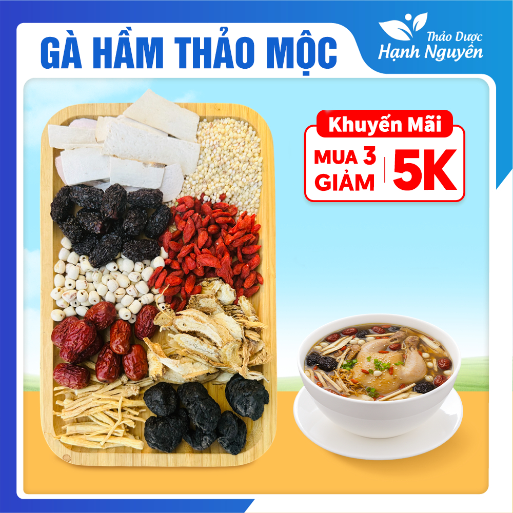 Gà hầm thảo mộc, set gia vị tiềm gà, hầm chim, bò, nấu canh dưỡng sinh thơm ngon bổ dưỡng