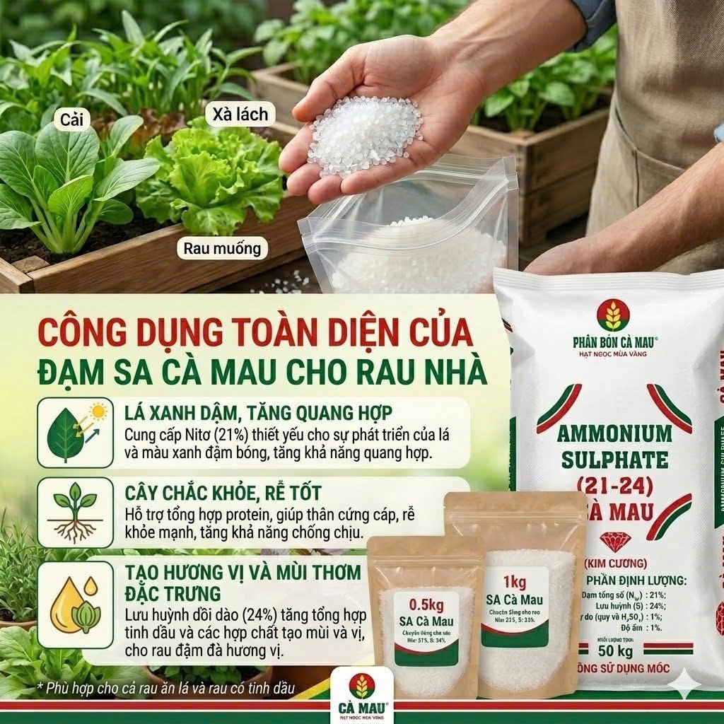 Đạm SA Cà mau Ammonium Sulphate (21-24) cà mau giúp cây xanh dày lá , phát triển nhanh , tạo hương t