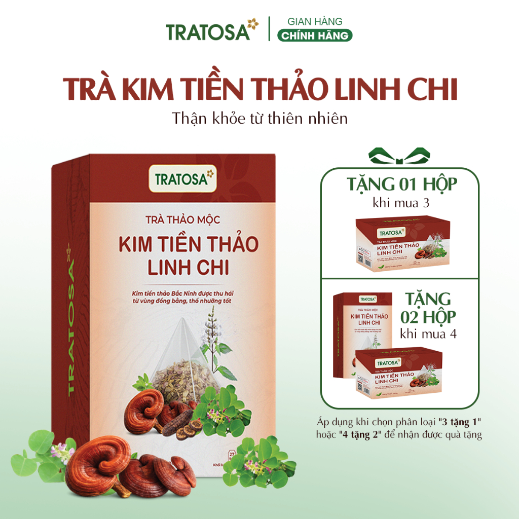 Trà kim tiền thảo linh chi TRATOSA 8 vị tốt cho thận, an toàn từ thiên nhiên