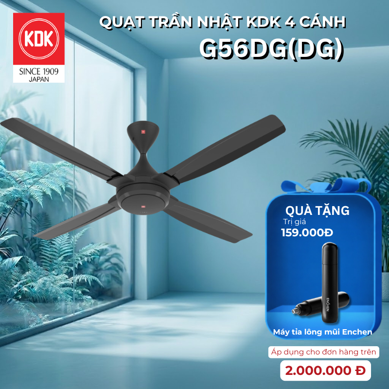 Quạt Trần KDK Nhật G56DG(DG) - Bảo Hành Chính Hãng KDK 24 Tháng