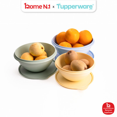 [RT] Bộ 3 Hộp Đựng Thực Phẩm Tupperware Trữ Khô Và Mát Original Bowl 2.5L 1.7L 1.1L