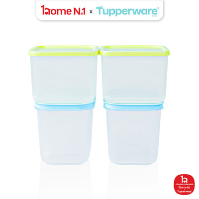 Bộ 4 Hộp Đựng Thực Phẩm Tupperware Trữ Mát Trữ Đông Starter Set II