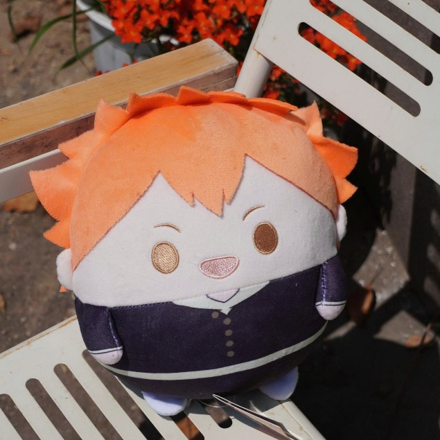 [Hàng sẵn][Chính hãng] Gối ôm, Fuwa nhân vật anime Haikyuu 20 & 30cm