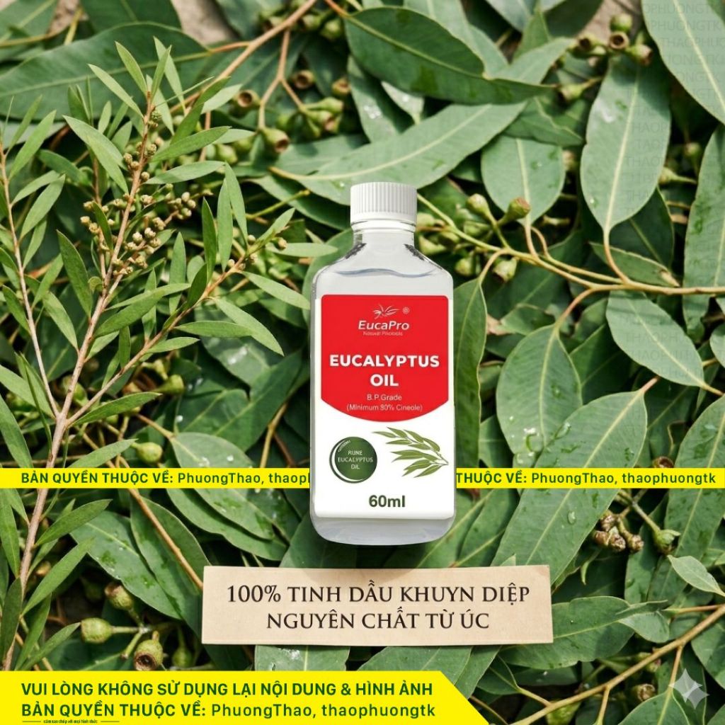 [CHÍNH HÃNG] Dầu Khuynh Diệp EUCAPRO / EUKY BEAR / KANGAROO (60ml) - Dầu Tràm & Sáp Ấm Ngực Organic 
