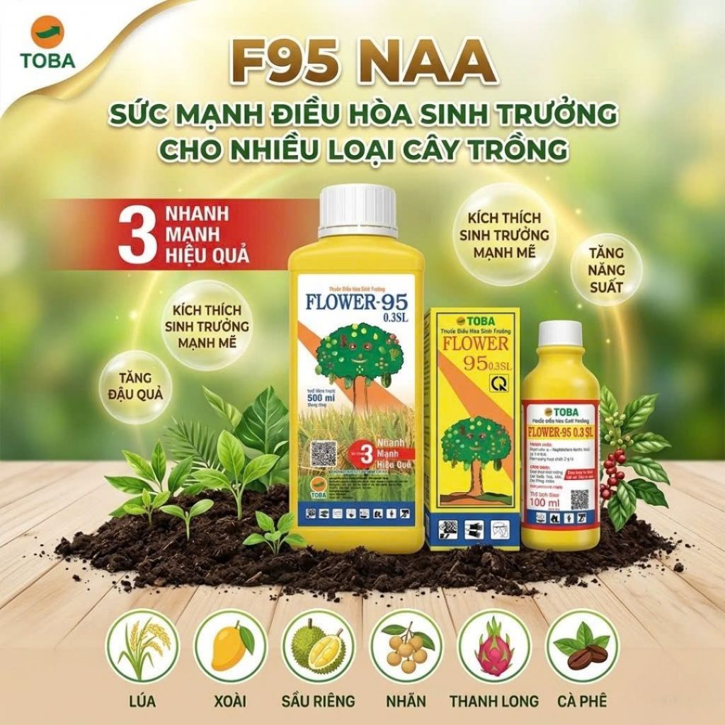 F95 Flower 95 Điều hoà sinh trưởng giúp kích thích rả rễ , ra hoa hoa , hạn chế rụng trái và chống s