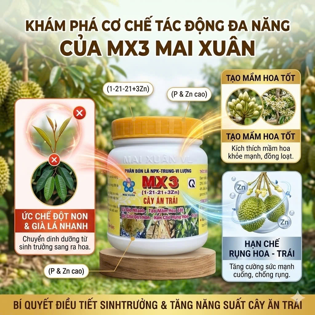 Mx3 Mai Xuân giúp ức chế đọt , lá già nhanh , tạo mầm hoa tốt ,hạn chế rụng trái rụng hoa 1 hũ sử dụ