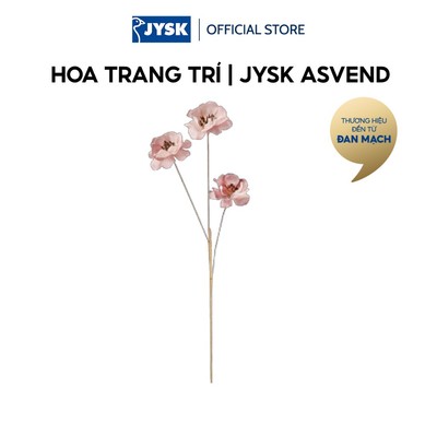 Hoa trang trí | JYSK ASVEND | giấy/polyester | hồng | D50cm