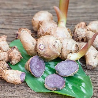 Nghệ Đen Tây Bắc Sơn La