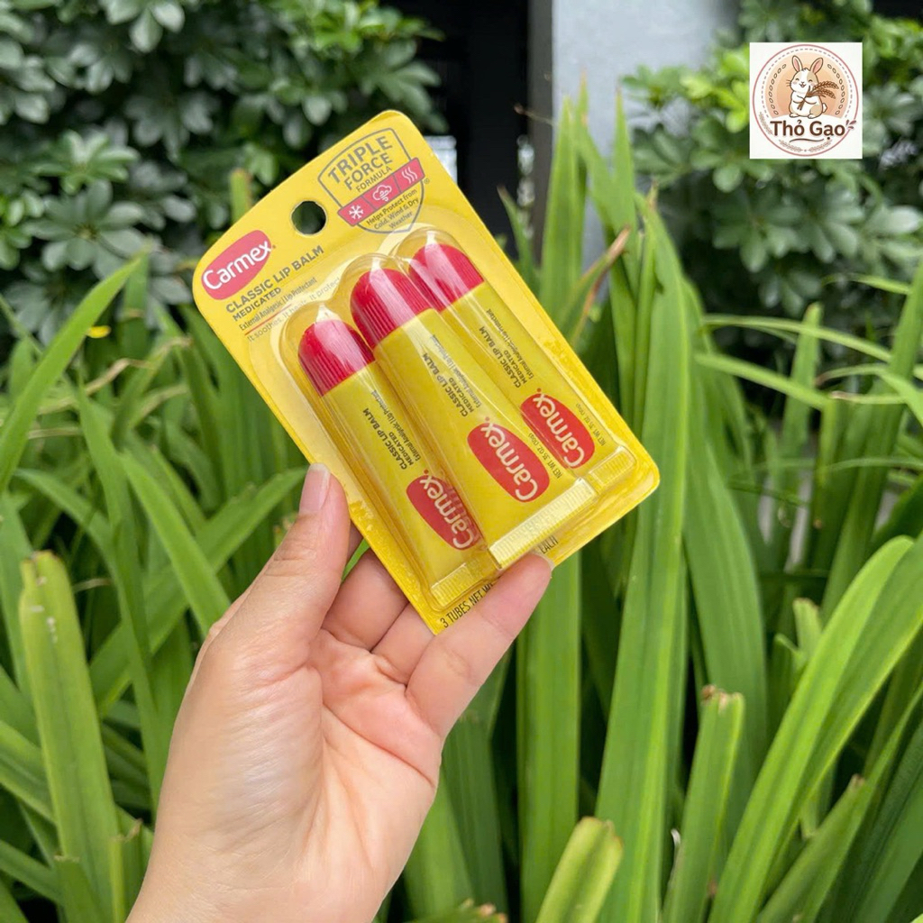 Son dưỡng môi Carmex Classic Lip Balm Medicated